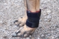 Preview: 7540 TSM vet-Pro Hunde-Gewichtsbandage für Vorder- oder Hinterbein