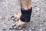 7540 TSM vet-Pro Hunde-Gewichtsbandage für Vorder- oder Hinterbein